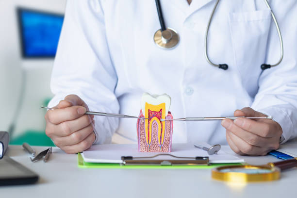Best Emergency Orthodontic Repairs in Centerville, TN